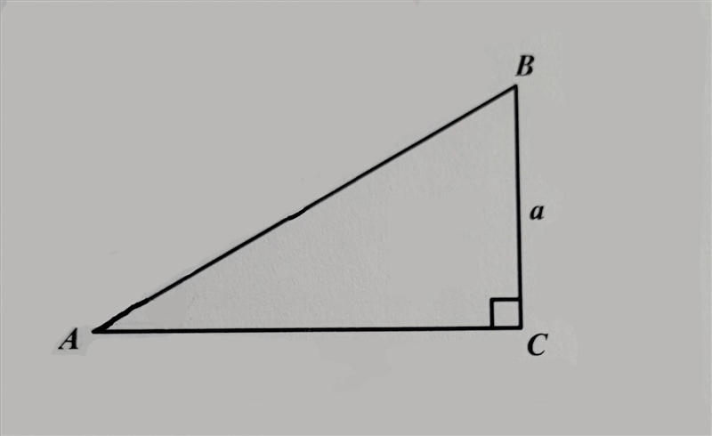 How can I solve the statement below? Solve for angle A in the right triangle below-example-1