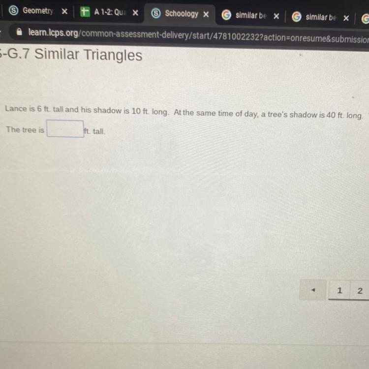 What is the height of the tree?-example-1