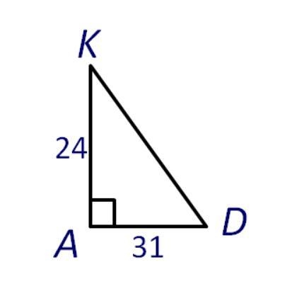 Which of the following is correct based on this picture? A. tan D=31/24 B. sin D=31/24 C-example-1