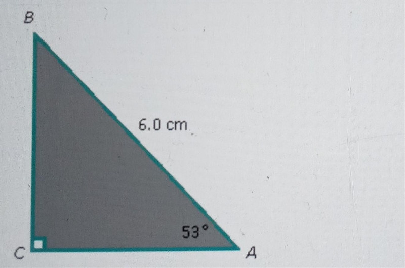 Angle Relationships Solve the following right triangle Determine all the missing sides-example-1