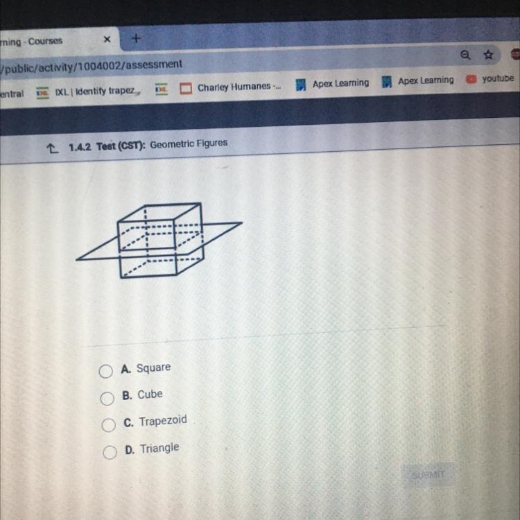 PLZ HELP ME What shape is this cross-section?-example-1