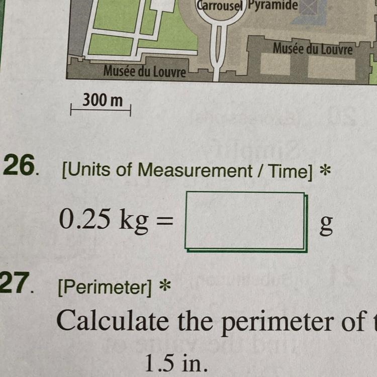 Can someone explain how you get the answer for 0.25 kg= blank grams?-example-1