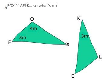 PLEASE HELP FAST 19POINTS-example-1