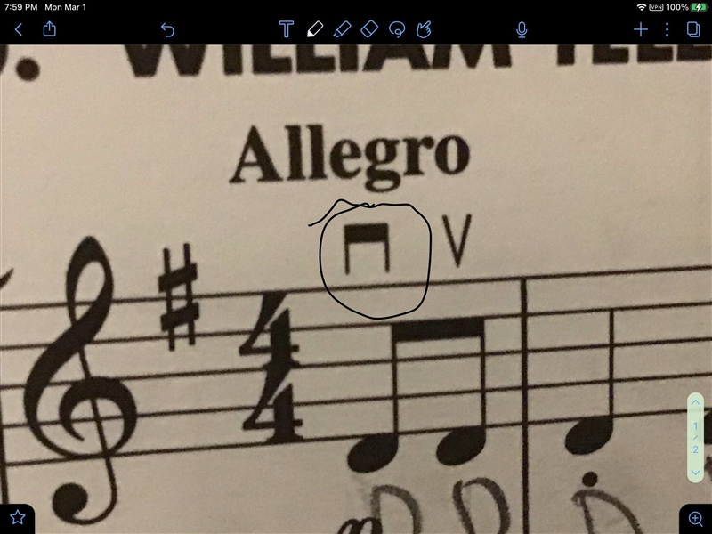 What does this violin thing mean (circled it)-example-1