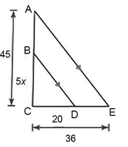 Solve for x. Question 2 options: A) 5 B) 7 C) 4 D) 6-example-1