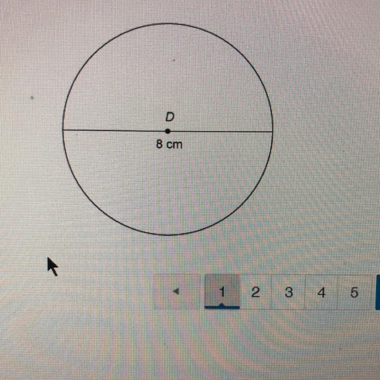 What is the exact circumference of the circle? 27 cm 47 cm 8 cm 167 cm-example-1