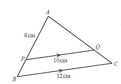 Calculate the length of AB. *-example-1