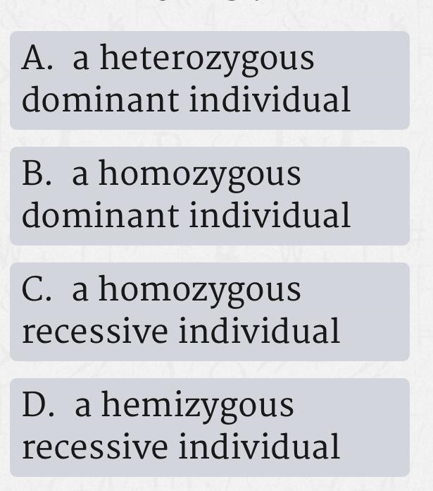 When an individual inherits two identical alleles for the brown eyed gene (BB)which-example-1