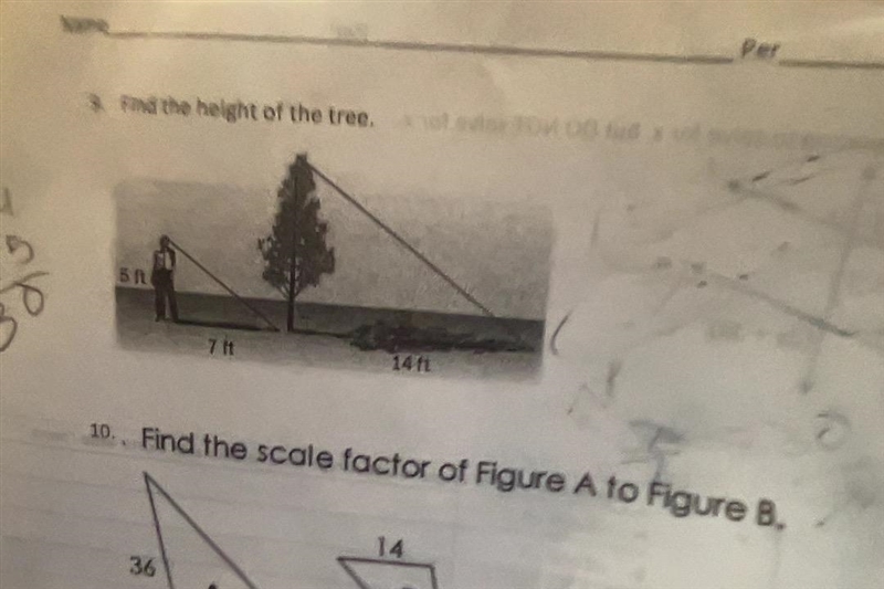 Find the height of the tree-example-1