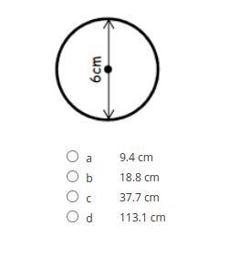 Calculate the circumference of the given circle.-example-1