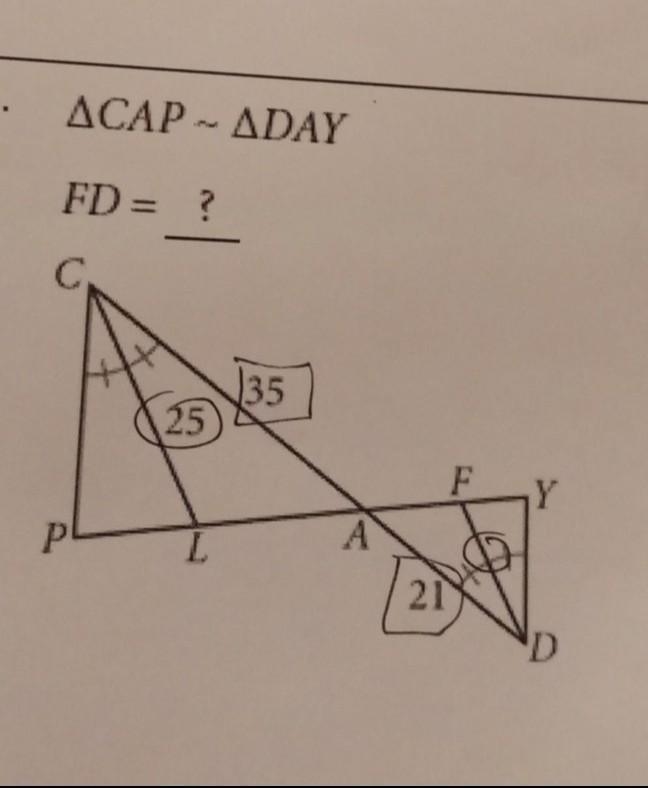 Find all the missing measurement​-example-1