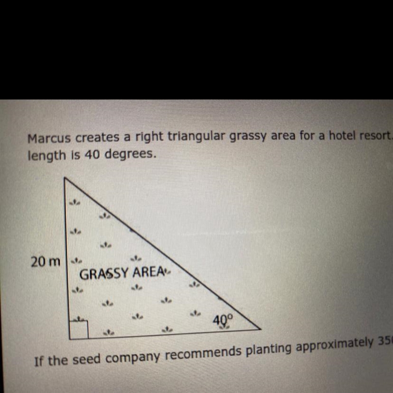 If the seed company recommends planting approximately 350 grass seeds per square meter-example-1