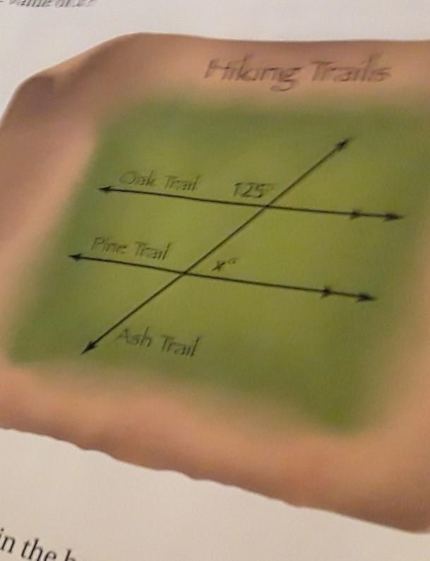 What is the value of x? Hiking trails oak trail 125 degrees. pine trail x degrees-example-1