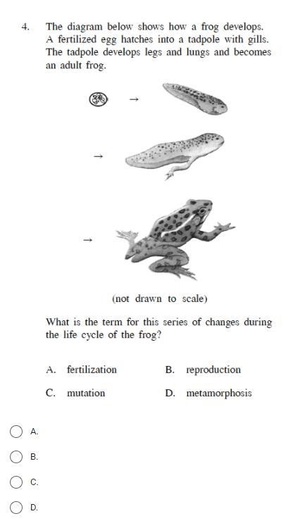 Please help me please i really need help please-example-1