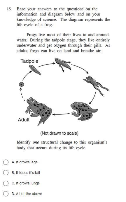 Please help me i really need help please please-example-1