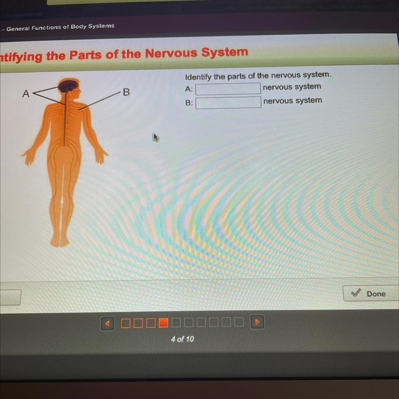 Plzz help will mark brainleast-example-1