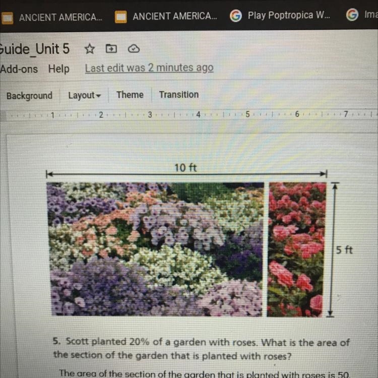 5. Scott planted 20% of a garden with roses. What is the area of the section of the-example-1