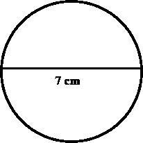 HELP! What is the radius and diameter of this circle?-example-1