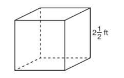 What is the volume of the cube shown below? V = s×s×s-example-1