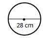 Estimate the area of the circle. Use 7/22 for π-example-1