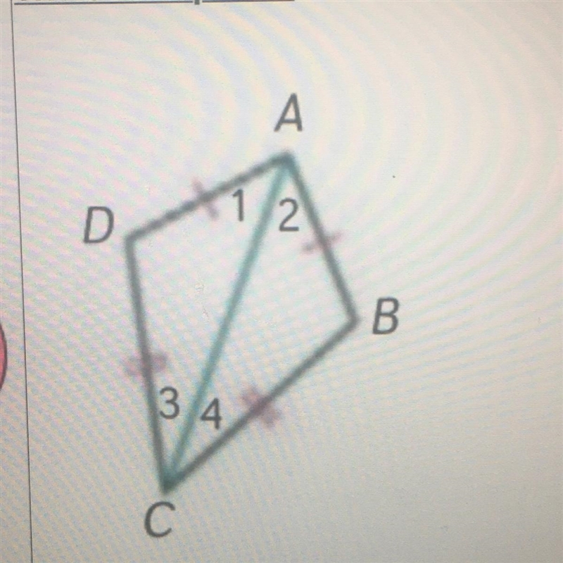 Write a response to the following using Claim, Evidence, Reasoning. Refer to the kite-example-1