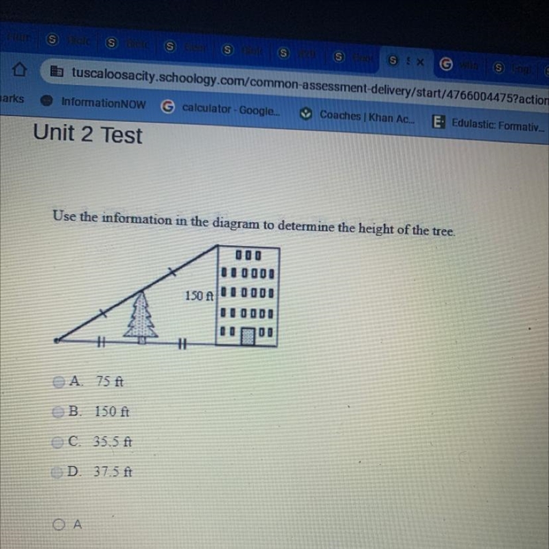 Use the information in the diagram to determine the height of the tree-example-1