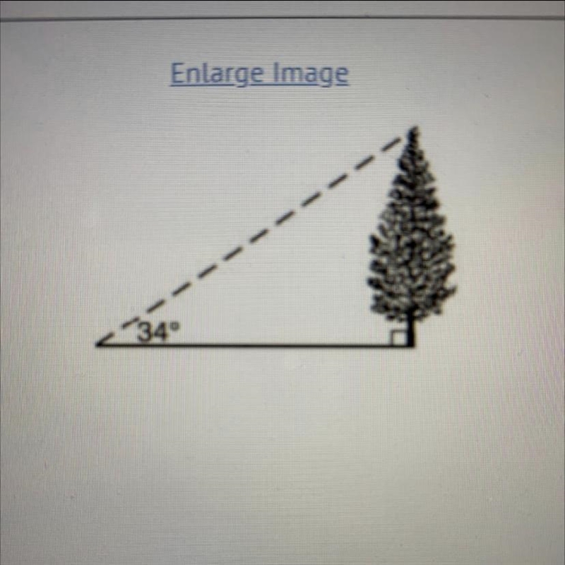 if the angle of elevation from the point on the ground to the top of the tree is 34° and-example-1