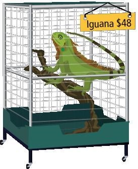 You want to buy a pet iguana. You already have $12 and plan to save$9 per week. a-example-1