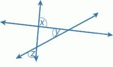 Given that the measure of ∠x is 110°, and the measure of ∠y is 59°, find the measure-example-1