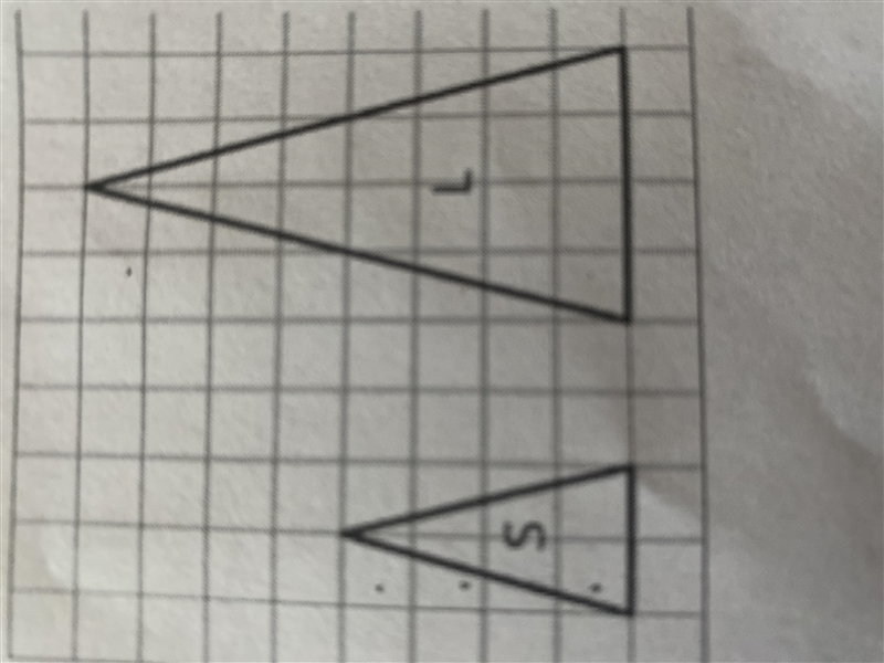 What is the scale factor from L to S-example-1