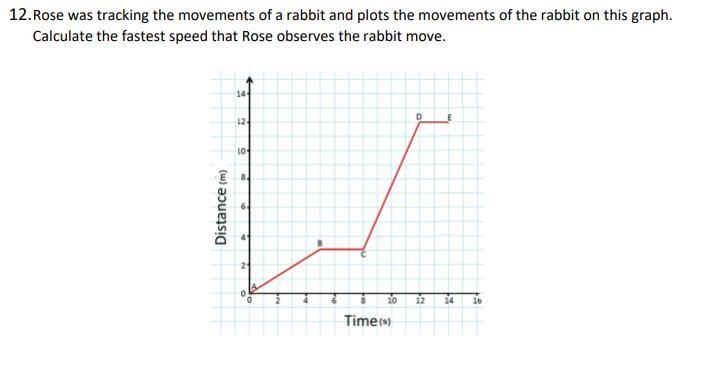 Rose was tracking the movements of a rabbit and plots the movements of the rabbit-example-1