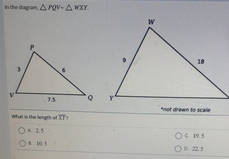 Help plz on test 20 points what is the length of XY? A.2.5 B.10.5 C19.5 D.22.5​-example-1