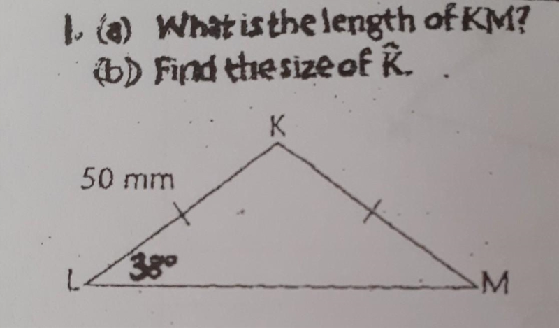 Pls help !! answer both 1a and 1b pls​-example-1