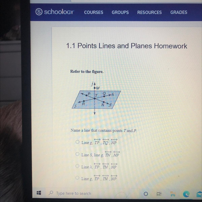 Name a line that contains T and P-example-1