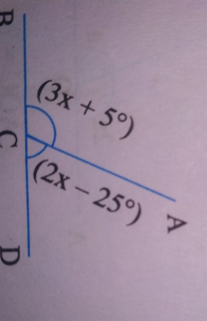 3x+5⁰ 2x-25⁰ supplementary angles​-example-1