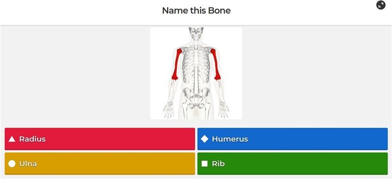 Pls help i need help!-example-1