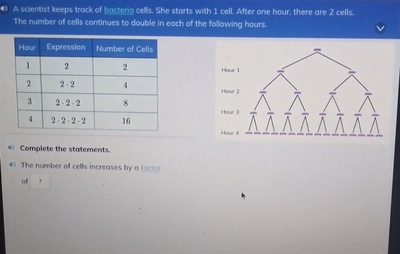 A scientist keeps track of bacteria cells. She starts with 1 cell. After one hour-example-1