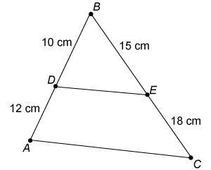 Please help! Is △DBE similar to △ABC? If so, which postulate or theorem proves these-example-1