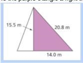 Is the purple triangle a right triangle? Explain.-example-1