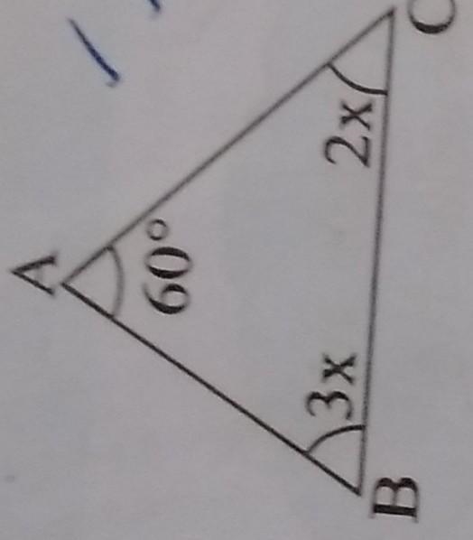 Find the value of X in each of the given triangles.​-example-1