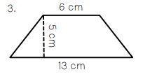 (Find the area) will mark branlist-example-1