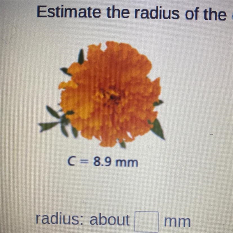 Estimate the radius of the object. Round to the nearest hundredth if necessary. (Don-example-1