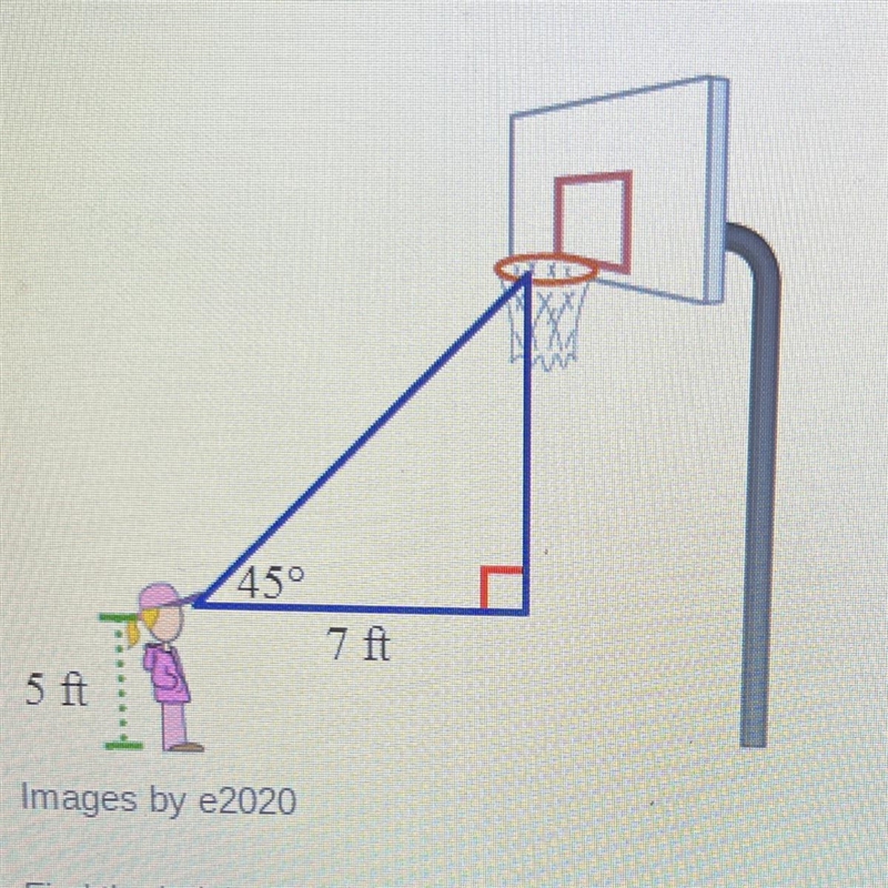 Find the height of the basketball hoop to the nearest foot. A. 7 ft B. 10 ft C. 12 ft-example-1