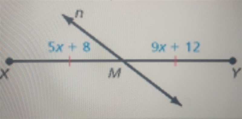 Find the length of line segment XY, assuming that M is the midpoint of XY ​-example-1