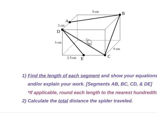 Please, i need help with the spider in the box question-example-1