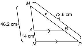 Triangle theoroms, what is the value of x ?-example-1