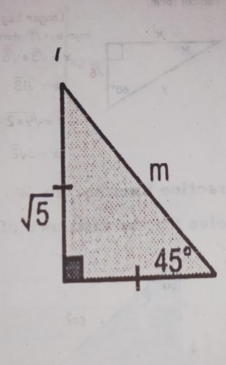 Using the 45o −45o −90o Triangle theorem. Solve this triangle.​-example-1