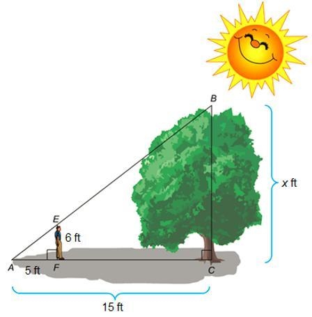 The diagram shows a 6 ft student standing near a tree. The shadow of the student and-example-1