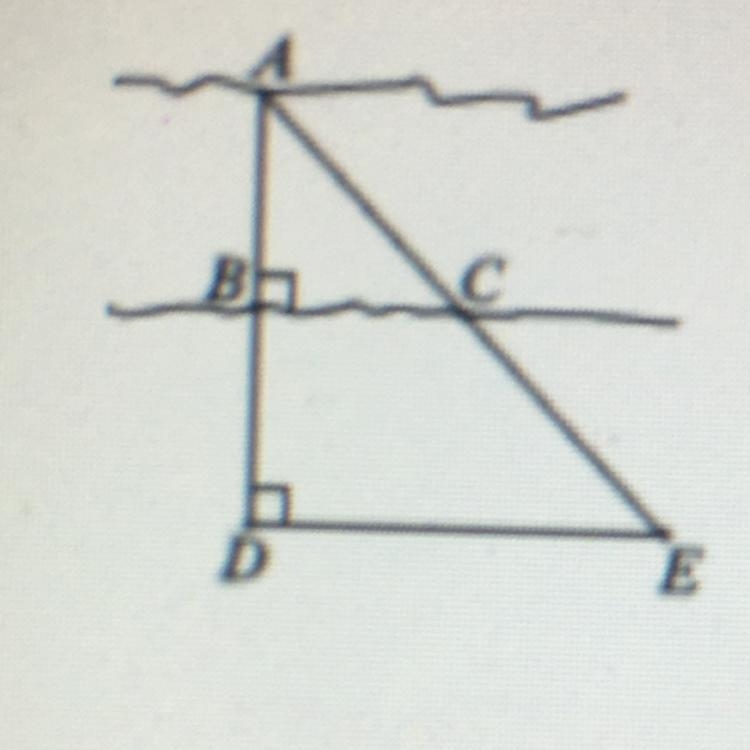 BD = 21 m. BC= 25 m. DE = 40 m. AB = 7m. Find AB-example-1