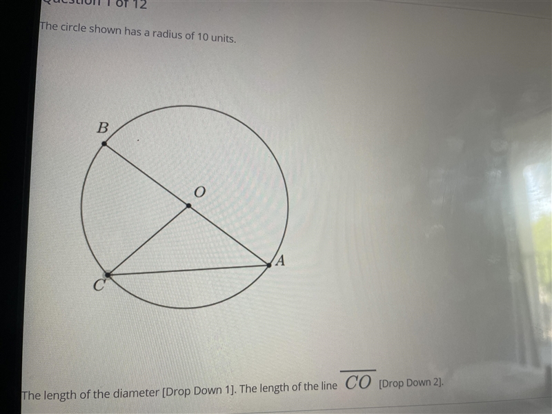 The circle shown on the radius of 10 units-example-1